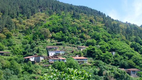 Ribeira Sacra