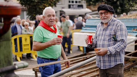 Meira reivindic� los trabajos acestrales del campo en una nueva edici�n de la Festa da Malla.