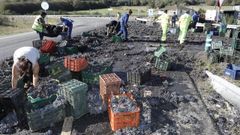 Cami�n articulado de ir transportaba uva pierde parte de su carga en la rotonda de la A-54 en O Picato