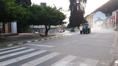 Las fumigaciones en las calles de la capital municipal se llevan a cabo a �ltima hora de la tarde