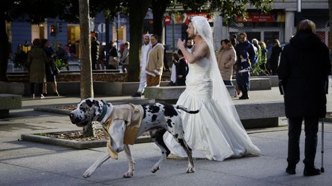 Desfile de carnaval en A Coru�a