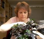 Cristina Silvar portando una planta de pimiento peruano. 