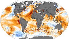 Mapa mundial de las anomalas en la tempertura superficial del ocano