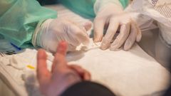 Imagen de archivo de un test