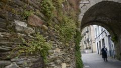 La Xunta trabaja para reducir la vegetacin en la Muralla romana de Lugo