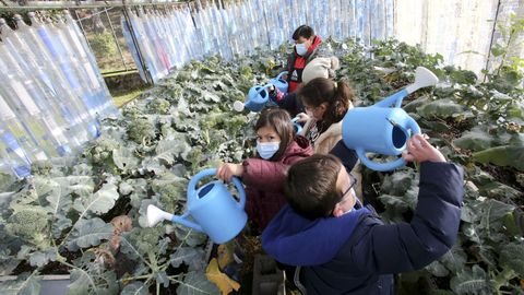 Invernadero de A Laxe, dentro del programa Voz Natura