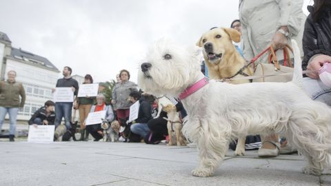 Imagen de archivo, de una concentración en Viveiro pidiendo parques para pasear perros