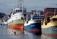 Cefalopoderos atracados en el puerto de Mar�n durante una parada biol�gica.