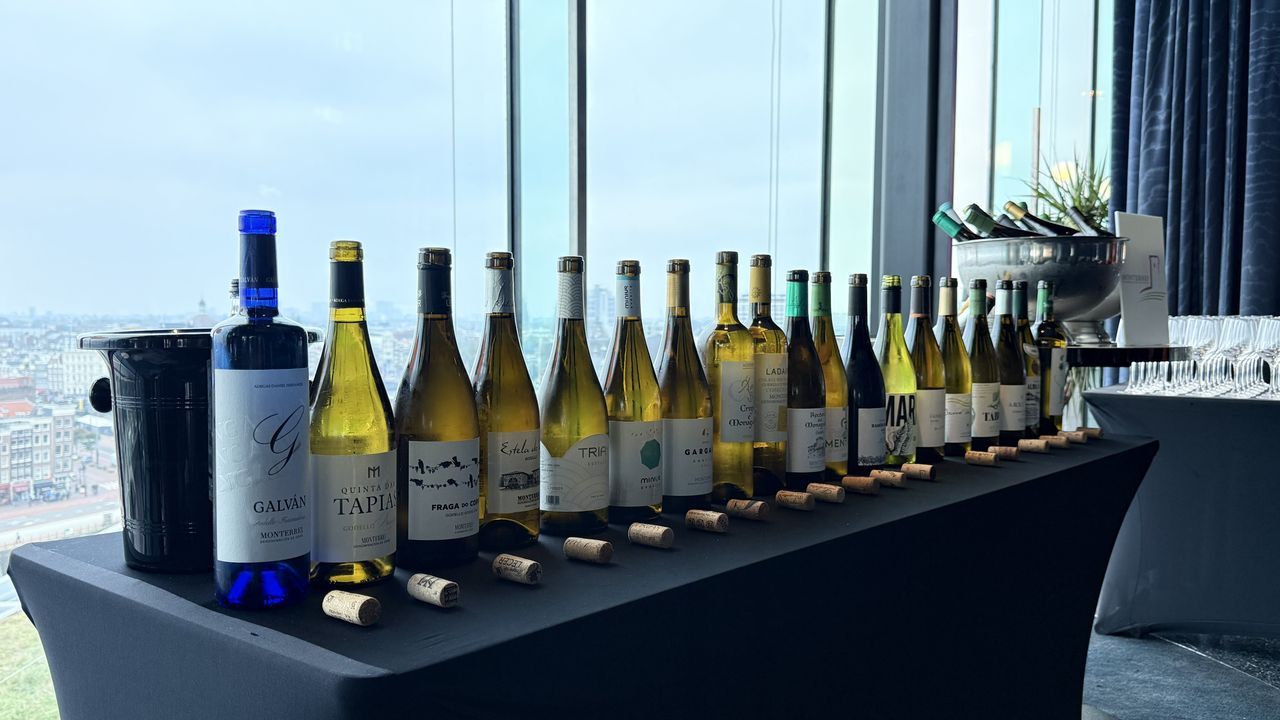 La D.O. Monterrei promociona sus vinos en Países Bajos