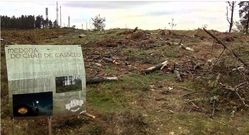 La m�moa est� situada cerca del l�mite con Cerceda.