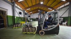 Lonja de Campelo, que concentra las ventas de bivalvos en la r�a de Pontevedra