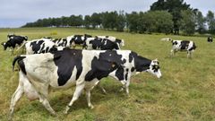 Inlac considera que debe haber total transparencia sobre de donde procede la leche envasada