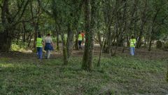 Imagen de una de las batidas de b�squeda de Carmen L�pez