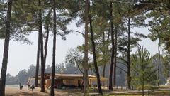 El pinar, en una imagen de archivo, con la playa de A Madalena al fondo