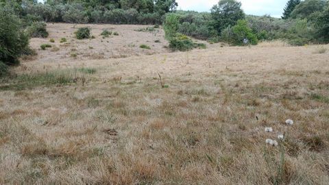 Estado en el que estaba ayer un prado en el concello de Vilardev�s.