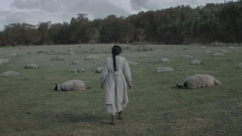 Fotograma del filme del realizador chileno Christopher Murray �Brujer�a�.