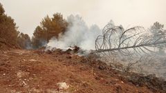 En el incendio de Vilarello (Cervantes) ardieron 150 hectreas