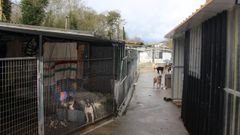 Instalaciones de la Protectora de Animales y Plantas de Lugo