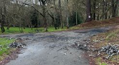 Restos de quemas junto al acceso a la carballeira de Santa Mari�a de Corcoesto, Cabana.