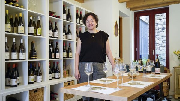 Iria Otero abri� la vinoteca y sala de catas B�goa Vinos en Ribadavia