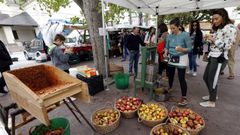 Edici�n de a�os anteriores del Mercado dos Domingos de Ribadeo