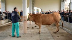 Acruga cerr� este martes su temporada anual de subastas