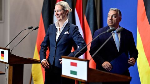 Alice Weidel y Viktor Orbn en Budapest.