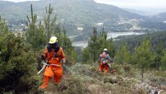 Trabajadores limpiando montes para prevenir incendios