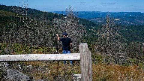 As est el monte de Barbanza un ao despus del gran incendio