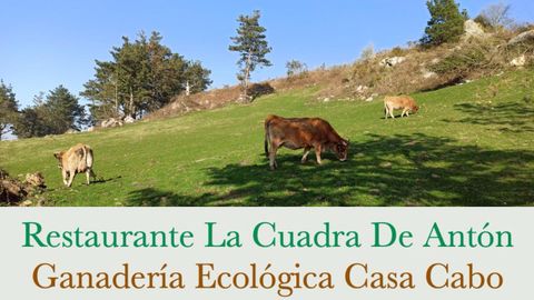La Cuadra de Antón cierra definitivamente. Su dueña se dedicará a la gestión de la ganadería ecológica Casa Cabo