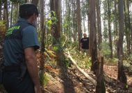 A principios de mes aparecieron nuevas trampas en el monte de Gondomar. 