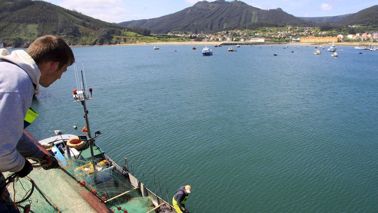 Una cría de lobo marino sorprende a los vecinos en el muelle de Cariño