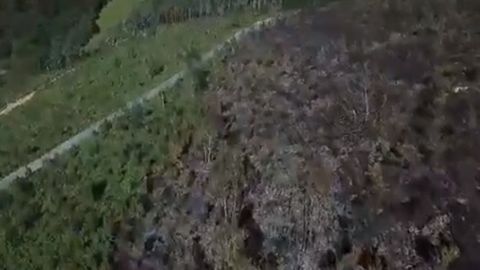 Incendio forestal