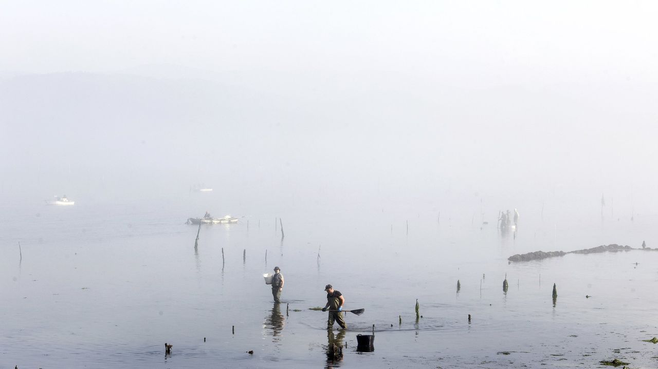 UPTA urge a Mar la valoración de los efectos de las riadas en las zonas productivas de Arousa