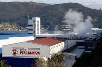 Instalaciones de Pescanova en Chapela, en donde tienen sede 7 de las 10 filiales en concurso. 