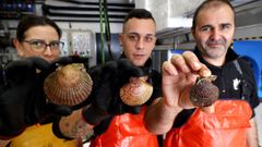 Tres trabajadores de O Percebeiro sostienen, de izquierda a derecha, una vieira del Pacfico, una volandeira y una zamburia