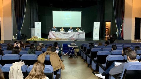 Una imagen de las jornadas en Ribadavia