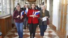 Grupo socialista en la Diputaci&oacute;n de Lugo, dirigido por la actual presidenta, Carmela L&oacute;pez
