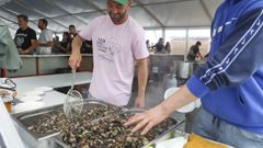 Agosto comenzó con la Festa do Percebe de Cedeira, éxito de público y ventas