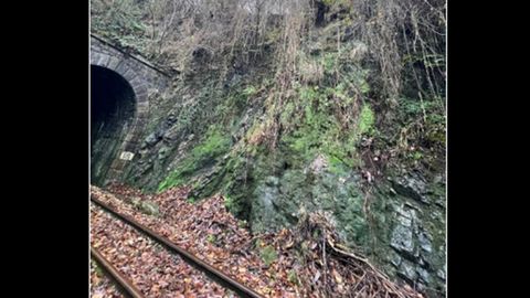 Los taludes tambi�n fueron afectados por la borrasca Dora en la l�nea de tren a su paso por el tramo entre Trubia y Caces (Oviedo)