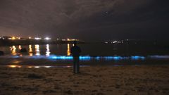 Playa de Foxos en la r�a de Pontevedra, donde los microorganismo que causan la marea roja brillan en la oscuridad de la noche