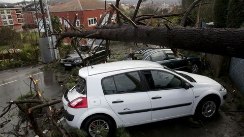 CONSECUENCIAS DEL TEMPORAL ANA: ARBOL QUE CAY SOBRE VARIOS COCHES EN LA RUA PEDREGAL EN ARTEIXO