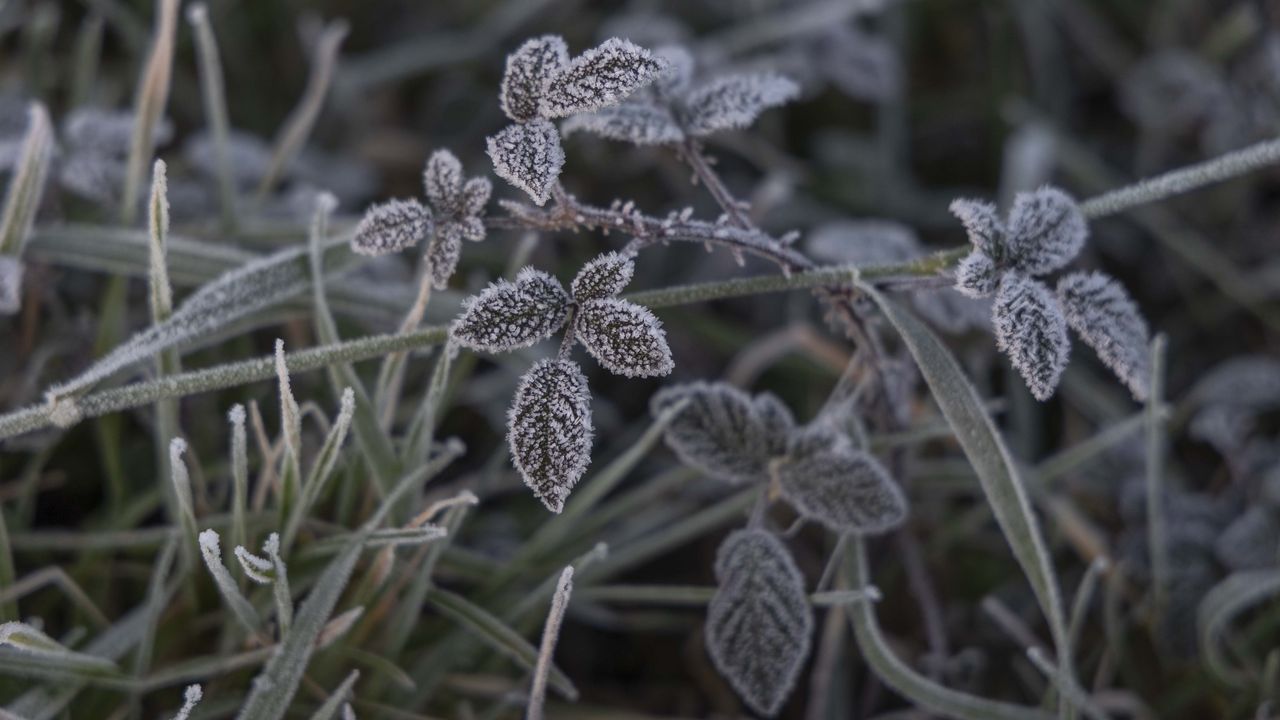 Una masa de aire muy fría procedente del Ártico llegará a partir de mañana a Galicia