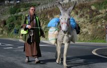 Fray Sergio Mar�a pasa con su burra �Blanca� al pie de las terrazas vit�colas de San Fiz, en el municipio de Chantada. 