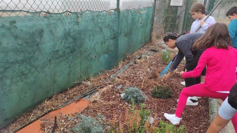 Preparativos del jardín de flora aromática en el recinto escolar