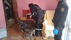 La Policia Nacional y la Guardia Civil registraron cuatro inmuebles de Lugo en busca de dinero y documentaci�n sobre la venta de coches trucados.