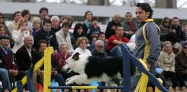 La actividad canina en Semana Verde registra mucho p�blico. 