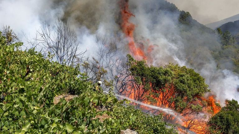 La orden&nbsp;quiere compensar los da&ntilde;os que fen&oacute;menos como los incendios ocasionaron en la renta de las explotaciones