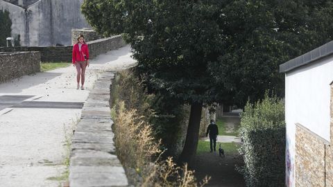 Las malas hierbas crecen en todos los rincoles de la Muralla, a la espera de que las corten