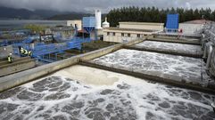 Depuradora de Os Praceres, en Pontevedra